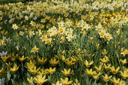Image 96